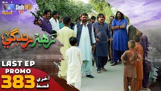 Zahar Zindagi - LAST EP 383 Promo | Sindh TV Soap Serial | SindhTVHD Drama