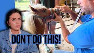 DON’T DO THIS IF YOUR HORSE HAS COLIC @homesteadhorsemanship