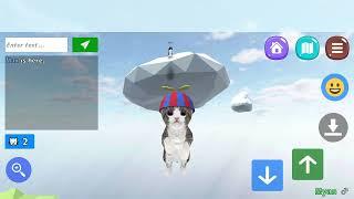 You can fly again (Cat Simulator Online)