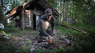 ТРИ НОЧИ В ДИКОЙ ТАЙГЕ МЕДВЕДЬ РАЗОРИЛ СХРОН ЗАБЛУДИЛСЯ РЫБАЛКА