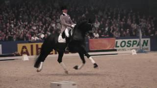 Totilas and Edward Gal - KWPN Hengstenkeuring 2010 Den Bosch HD 1080i