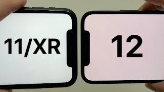 iPhone 12 & 11/XR Notch Size Comparison +Bezel