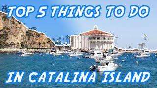 Top 5 Things to Do in Catalina Island | California | The Adventure Buddies