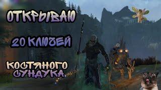 Neverwinter | 20 ключей костяного сундука