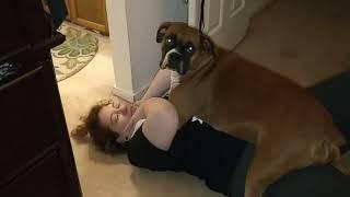 Woman viciously mauled by boxer dog!