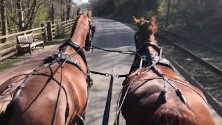 Enjoy a Carriage Ride Around Beamish Museum