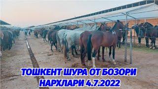 ТОШКЕНТ ШУРА ОТ БОЗОРИ НАРХЛАРИ 4.7.2022 @Xiloliddin_Tv