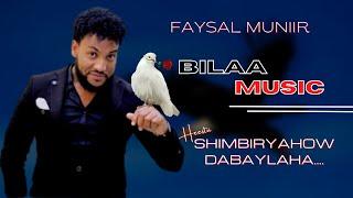 FAYSAL MUNIIR | SHIMBIRYAHOW DABAYLAHA LYRICS | BILAA MUSIC | XASUUSTII HANUUNIYE (AHUN)