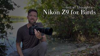 Nikon Z9 Initial Thoughts from a Bird Photographer