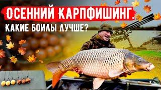 Осенний Карпфишинг. Какой боил лучше для ловли карпа в холодной воде?