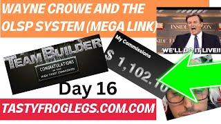 OLSP System Review - Affiliate Marketing for Beginners (Day16)