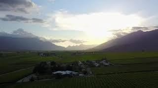 Hex River Valley, harvest time!