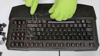 Satisfying ASMR | Cleaning a Mechanical Keyboard (no talking)