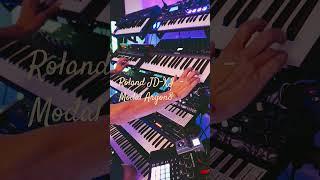 Roland JD-XI  - Modal Argon8