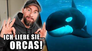 Intelligenter als der Mensch? - Die verrückte Biologie der Orcas! | Robert Marc Lehmann