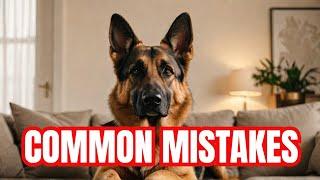 10 Things You MUST NEVER Do To Your German Shepherd | German Shepherd Dog | German Shepherd Puppies