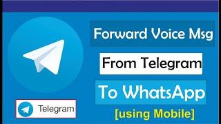 How To Forward Voice Message From Telegram to WhatsApp (2023)