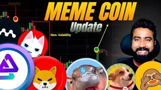 These Meme Coins Making Millions of $$$ In January 2025  Shiba Inu | Bitgert | Hippo | SUNDOG 