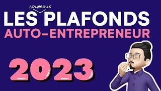 Les nouveaux plafonds auto entrepreneur 2023