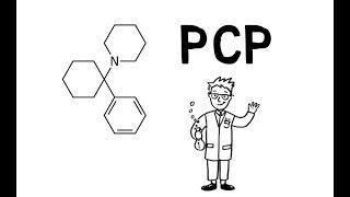 Phencyclidine (PCP)