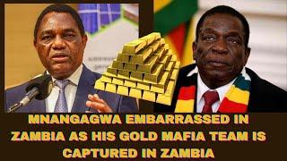 MNANGAGWA EMBARRASSED IN ZAMBIA AS HIS GOLD MAFIA TEAM IS CAPTURED IN ZAMBIA