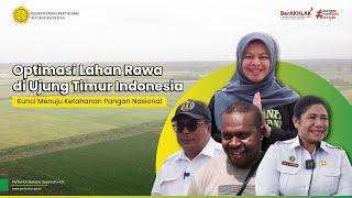 Optimasi Lahan Rawa di Ujung Timur Indonesia: Kunci Menuju Ketahanan Pangan Nasional