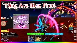 [ Blox Fruit ] - Tặng Acc Blox Fruit siêu vip