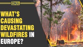 How high temperatures causing devastating wildfires in Europe so early this summer?