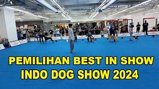 Pemilihan Best In Show Pameran Anjing Indo Dog Show 2024