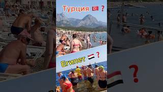 Турция или Египет, ГДЕ отдых ЛУЧШЕ⁉️ #египет #турция #travel