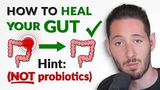 Restoring a Healthy Gut After Antibiotics: Here's What You Need to Know