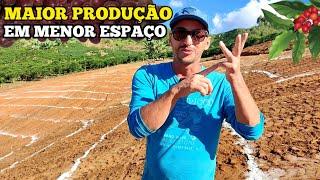 NÃO PLANTE CAFÉ ANTES DE ASSISTIR ESSE VIDEO