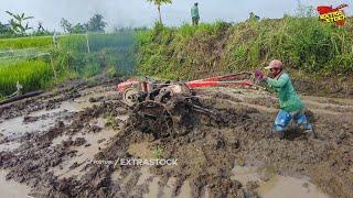 Request Pemilik! Traktor Sawah Harus Tetap Nyingkal Bedengan Meski Tanah Sudah Gembur