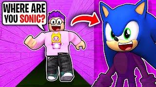EXTREME HIDE AND SEEK CHALLENGE IN SONIC SPEED SIMULATOR!? (*FREE* LANKYBOX MERCH!)