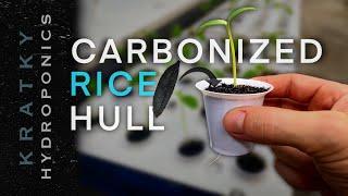 A Sustainable Hydroponics Growing Media You Must Try