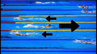 Katie Ledecky - The Most Dominant Athlete In History? (Women's 800m Freestyle)