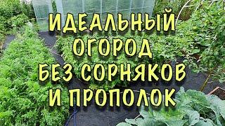 ЕВРОПЕЙСКИЙ ОГОРОД своими руками! Без СОРНЯКОВ и МУЧИТЕЛЬНЫХ прополок!