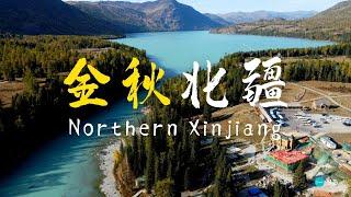 畅游北疆，去看中国最美的秋天｜Northern Xinjiang Travel Guide: The Best Place in China to See Fall Foliage
