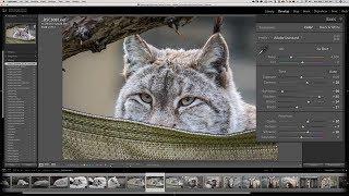 Mastering Lightroom Classic CC: 1 - Quick Start