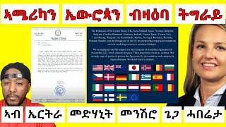 ኣሜሪካ ነዚ ብሱዕዲ ዝግበረ ዘሎ ዞባዊ ምትእትታው ቆላሕታ ክትገብር ጻውዒት ቀሪቡ፣ ኤውሮጳውን ኣሜሪካን ውዕል ፕሪቶርያ ክኽበር ይሓታ | Yikealo Tv