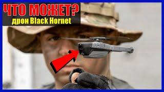 ДРОН BLACK HORNET: что может самый маленький военный беспилотник?