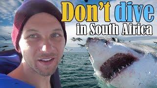 DON'T DIVE WITH GREAT WHITE SHARKS IN GANSBAAI
