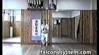 AN ICHI MIYAGI - KURURUNFA - FALCONE'S SYSTEM INTERNATIONAL