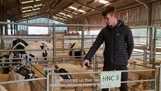 SRUC Barony Campus Murray McHarg Student Agricultural Show