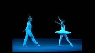 "La Bayadere". Entre and Adagio from the 3d Act. Svetlana Zakharova and Igor Zelensky.