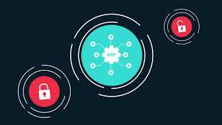 Continuous Business Intelligence for SAP & Oracle ERPs | Magnitude Angles