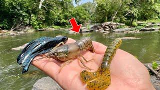 Fishing EXPERIMENT: LIVE Bait vs. ARTIFICIAL Lures (Creek Crawfish Edition)