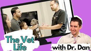 Veterinarian watches The Vet Life.  Dr. Dan summarizes and reactions to reality vet TV.