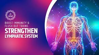 Strengthen Lymphatic Circulatory System - Boost Immunity & Flush Out Toxins - 741 Hz Detox Frequency