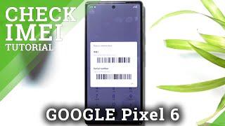 How to Locate IMEI & Serial Number on GOOGLE Pixel 6 – Verify IMEI Status